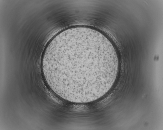 X0000095521129200801111430