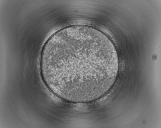 X0000095521130200801111430