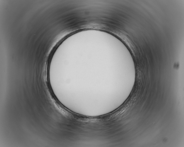 X0000095521131200801111430