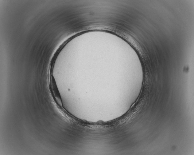 X0000095521132200801111430