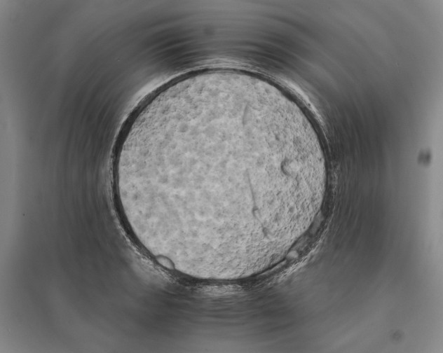 X0000095521133200801111430