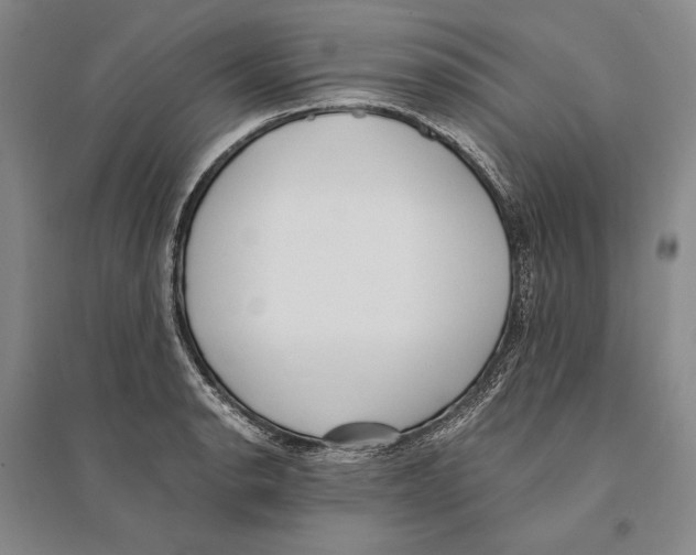 X0000095521134200801111430