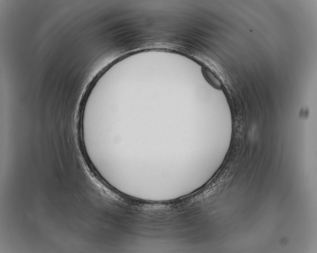 X0000095521135200801111430