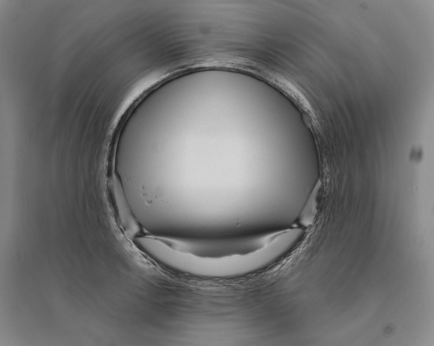 X0000095521138200801111430