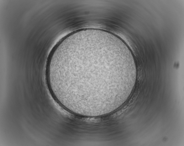 X0000095521139200801111430