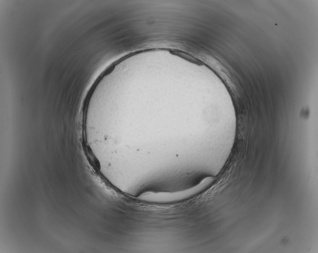 X0000095521140200801111430