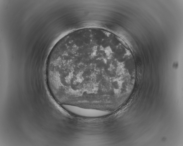 X0000095521142200801111430