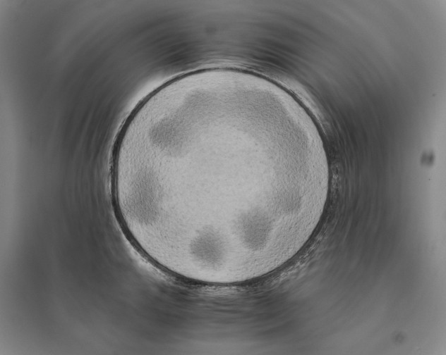 X0000095521143200801111430