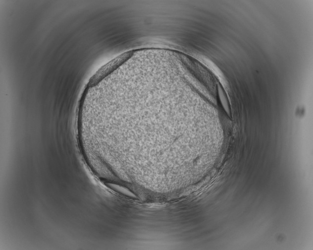 X0000095521144200801111430