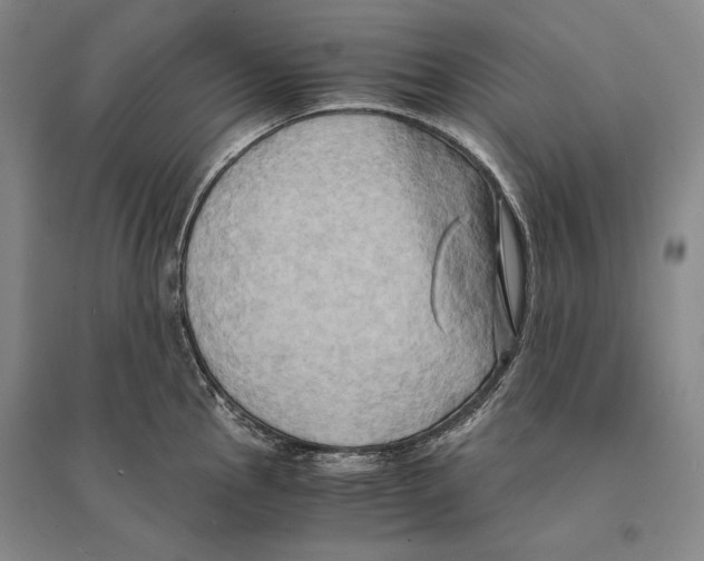 X0000095521145200801111430