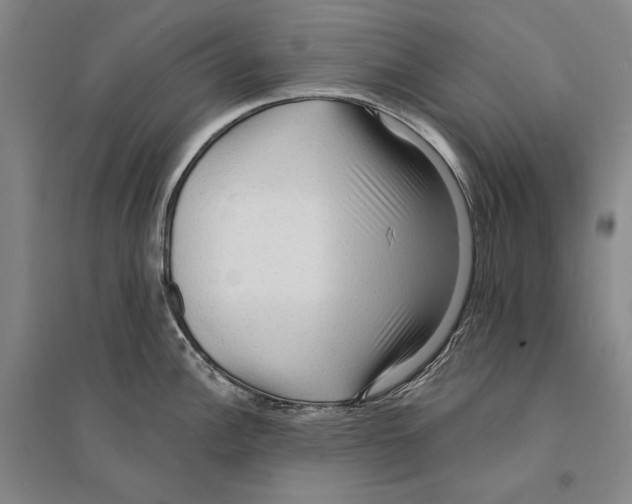 X0000095521148200801111430