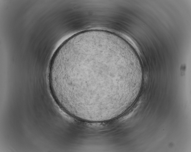 X0000095521149200801111430