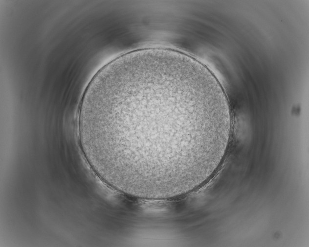 X0000095521150200801111430