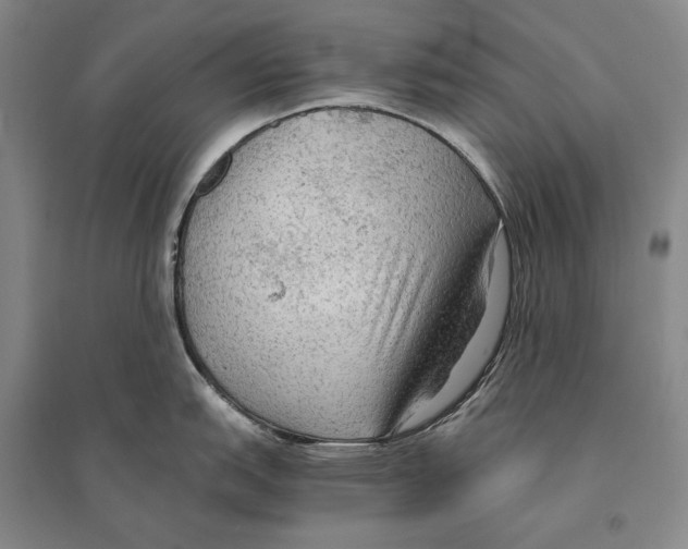 X0000095521151200801111430