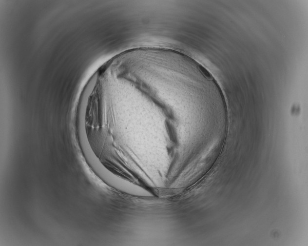 X0000095521152200801111430