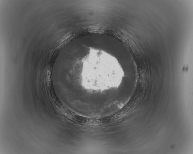 X0000095521154200801111429