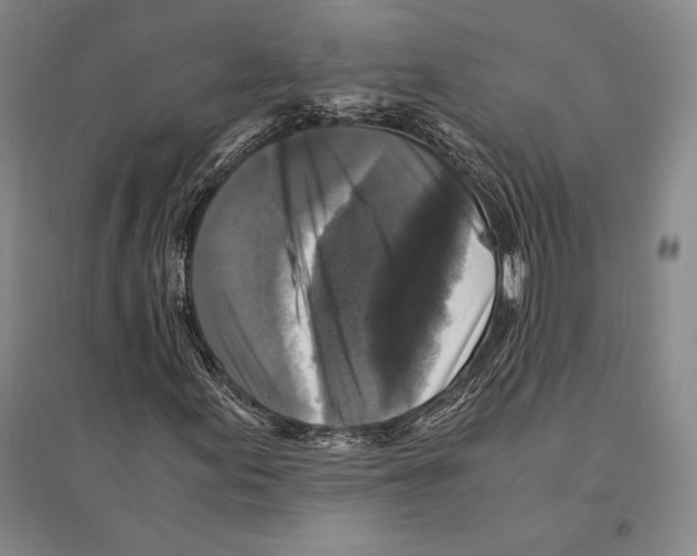 X0000095521155200801111429