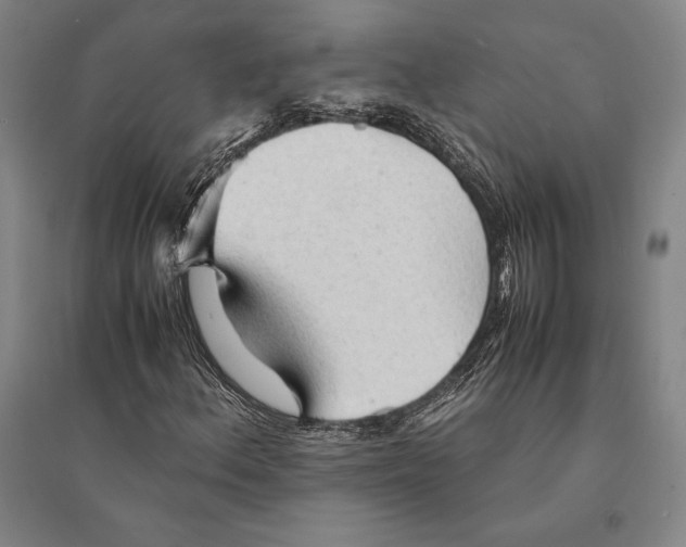 X0000095521156200801111429