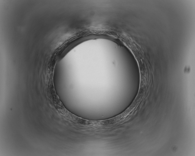 X0000095521157200801111429