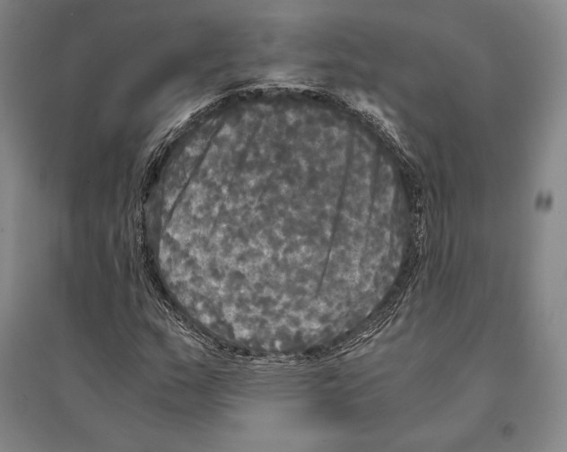 X0000095521159200801111429