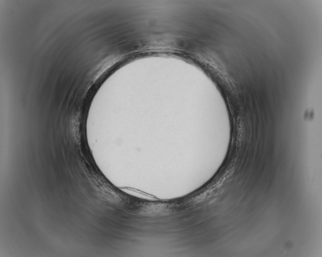 X0000095521162200801111429