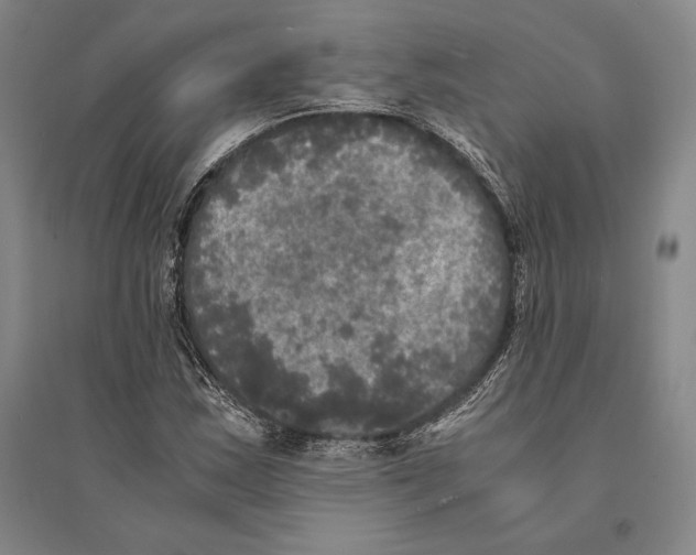 X0000095521163200801111429