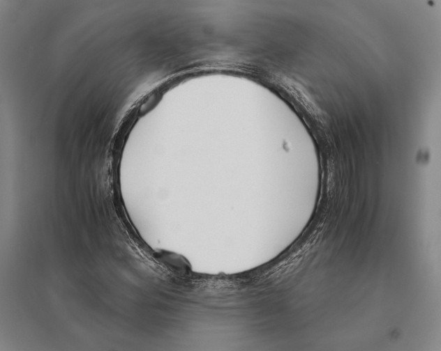 X0000095521164200801111429