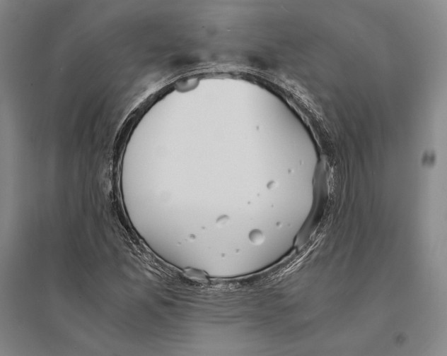 X0000095521165200801111429