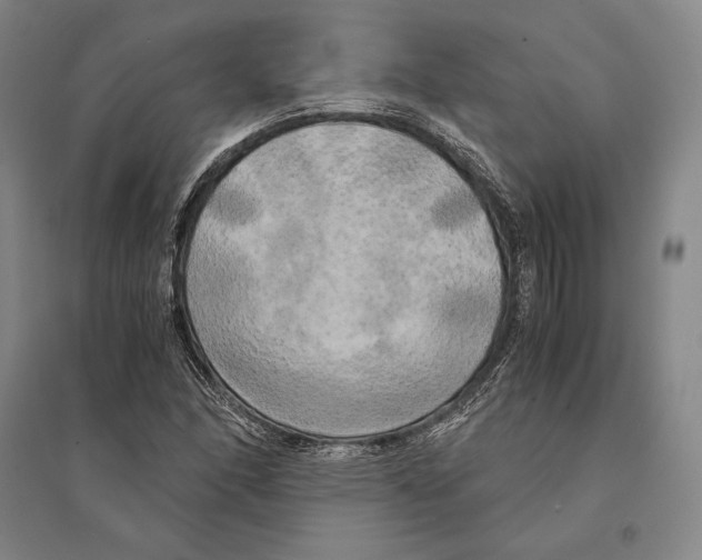 X0000095521166200801111429