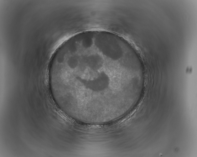 X0000095521167200801111429