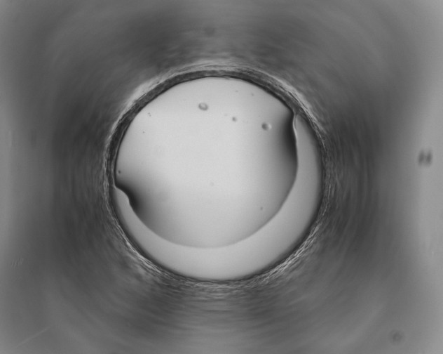 X0000095521168200801111429