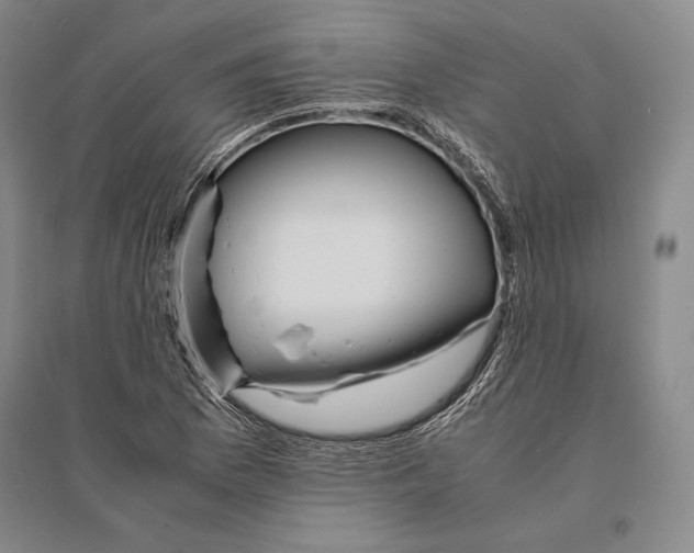 X0000095521169200801111429