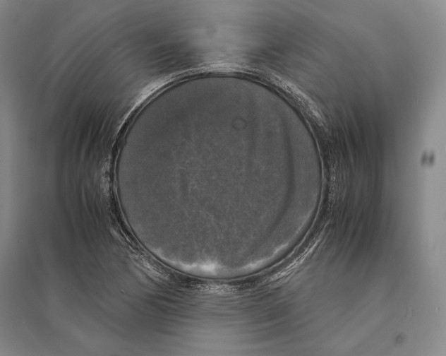 X0000095521170200801111429