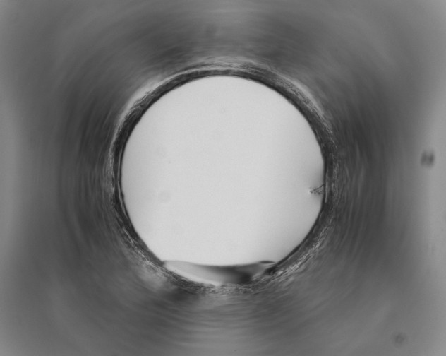 X0000095521172200801111429