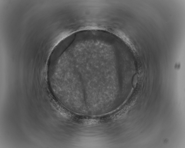 X0000095521173200801111429