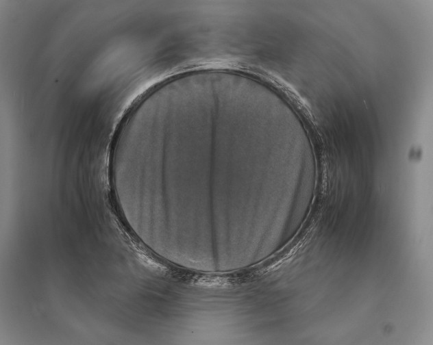 X0000095521174200801111429