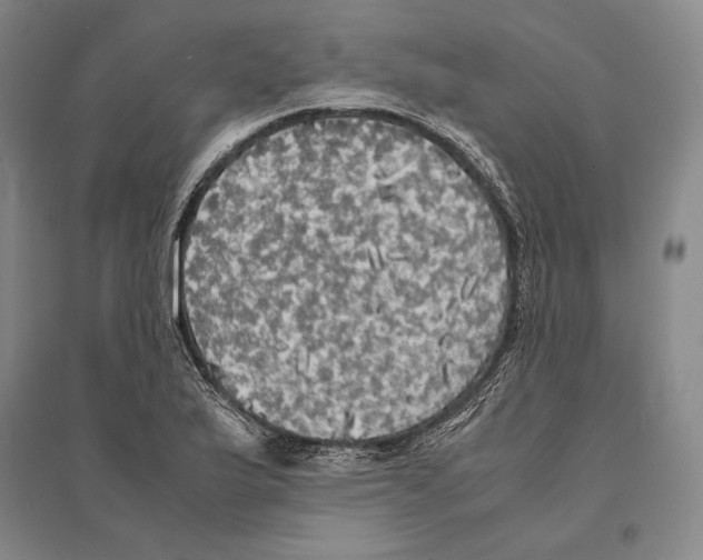 X0000095521175200801111429