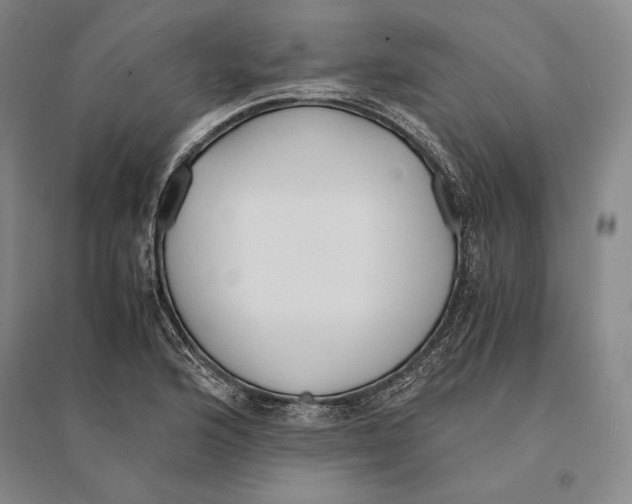 X0000095521176200801111429