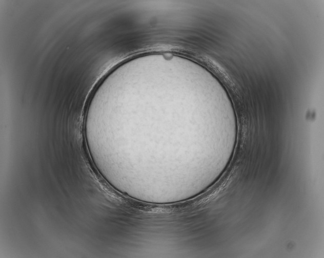 X0000095521178200801111429