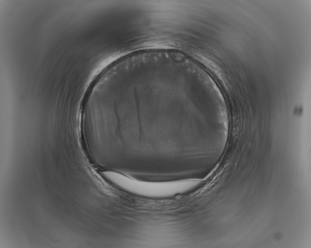 X0000095521179200801111429