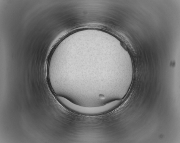 X0000095521180200801111429