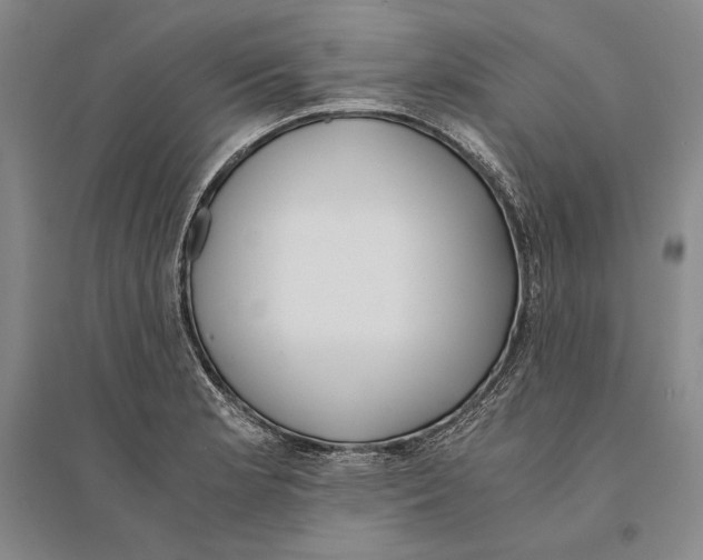 X0000095521181200801111429