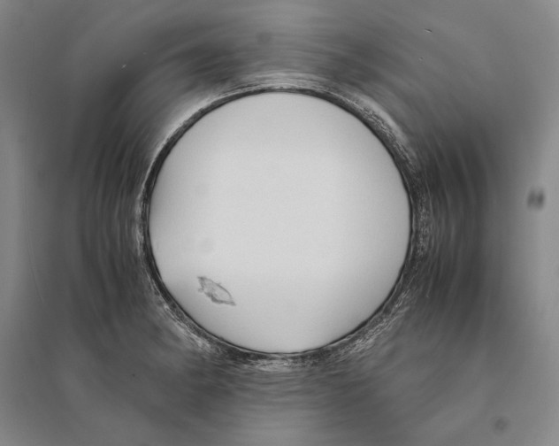 X0000095521182200801111429