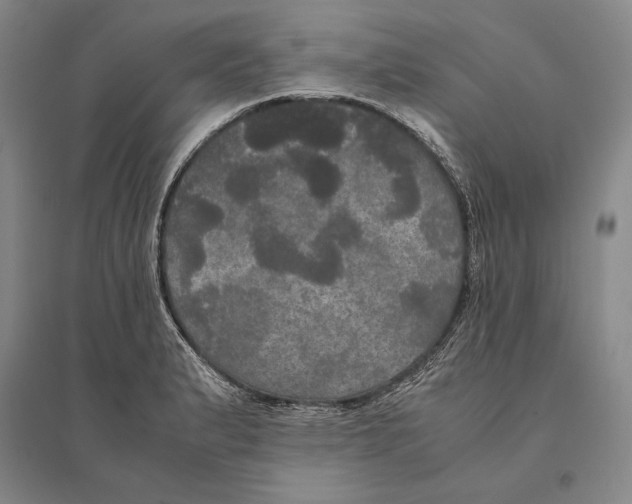 X0000095521183200801111429