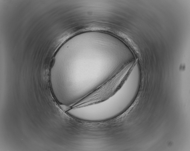 X0000095521185200801111429