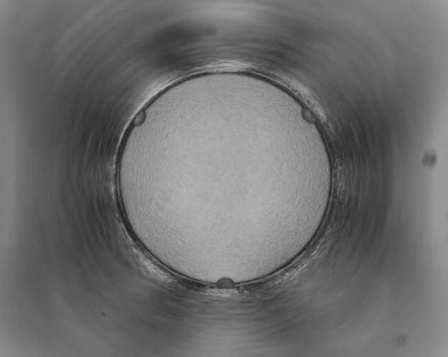 X0000095521186200801111429