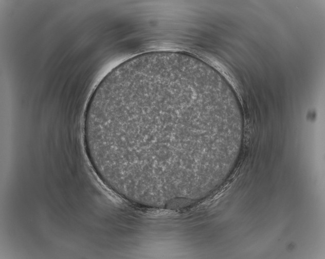 X0000095521187200801111429