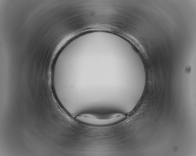 X0000095521188200801111429