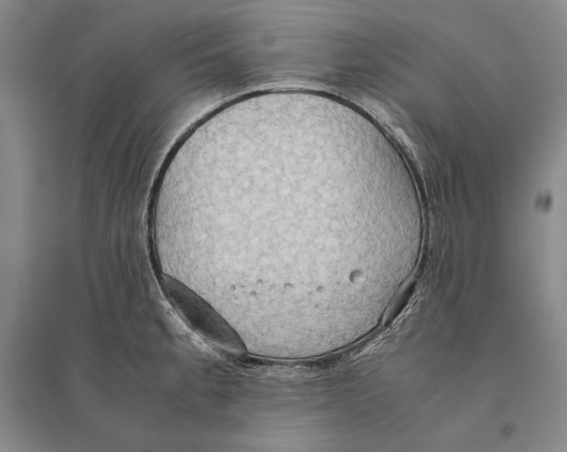 X0000095521189200801111429