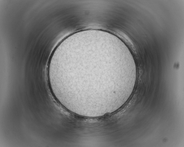 X0000095521190200801111429